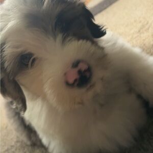 Meet your Posher, Kaitlyn